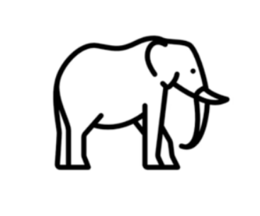Elefant Mitglied